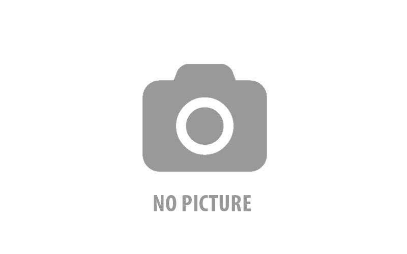 Олимпийские чемпионы России(СССР, СНГ) А – И